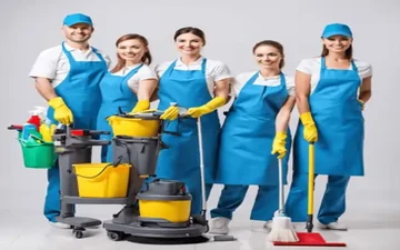Professional Home Maid Services Image Two